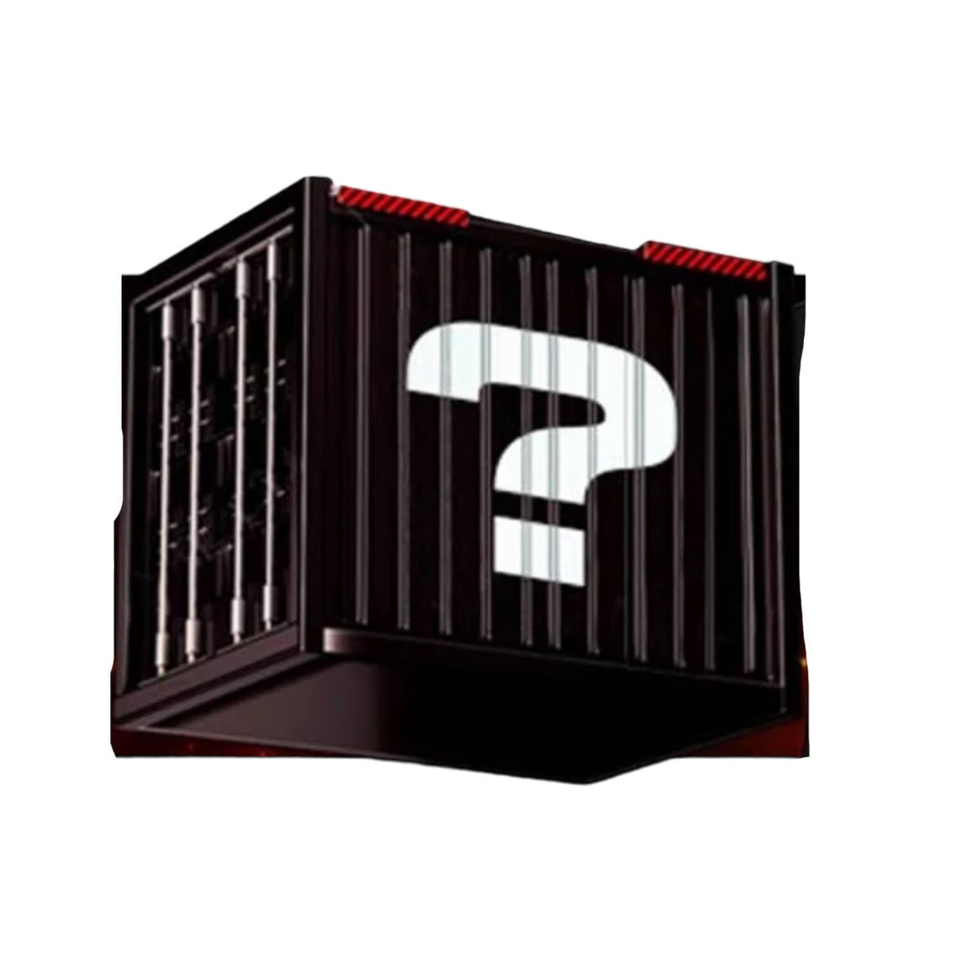 Black Friday Mystery Box +$250 SUBTOTAL