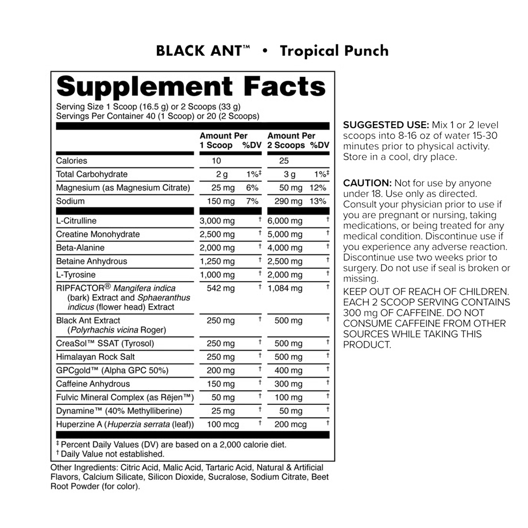 Bucked Up - Black Ant