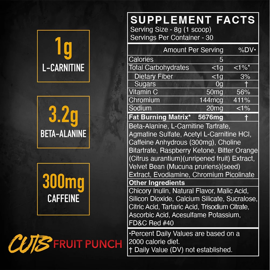 l carnitina mujer Organika Electrolyte Endurance - Sugar Pre-Workout Supplement With Beta- Alanine And L-Carnitine