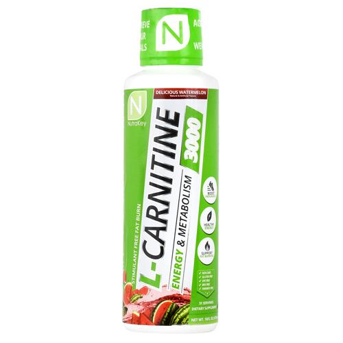 NutraKey - L-CARNITINE 3000-31 Servings (16 fl oz)-Delicious Watermelon-